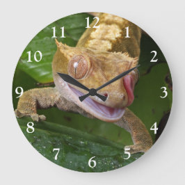 Crested Gecko Stor Klocka
