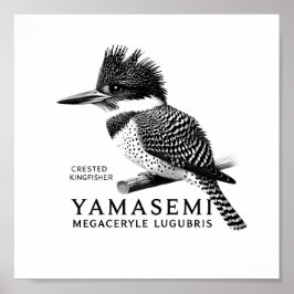 Crested Kingfisher Black & White Art Print Poster