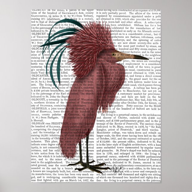 Crested Marsala Bird Poster (Framsidan)