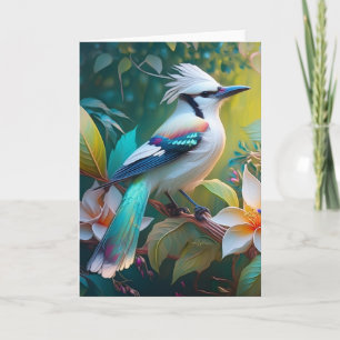 Crested Teal Winged Jay Kort