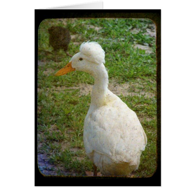 Crestie Hälsningskort (Framsidan)