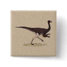 Cretacous Dinosaur Ornithomimus