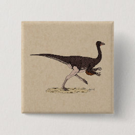 Cretacous Dinosaur Ornithomimus Knapp