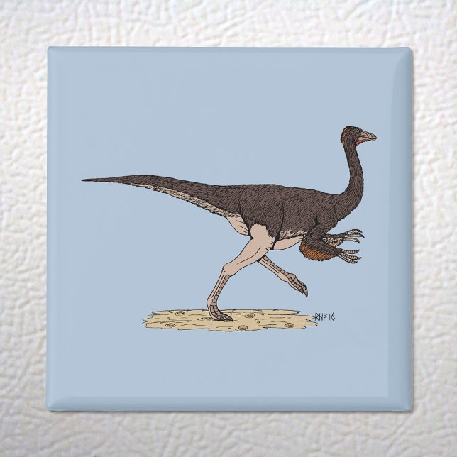 Cretacous Dinosaur Ornithomimus Magnet (Cretaceous Dinosaur Ornithomimus Magnet on White Fridge)