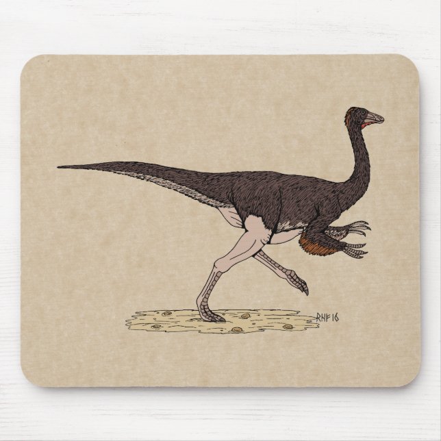 Cretacous Dinosaur Ornithomimus Musmatta (Framsidan)