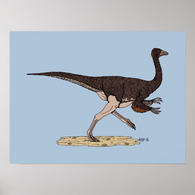 Cretacous Dinosaur Ornithomimus Poster (Framsidan)