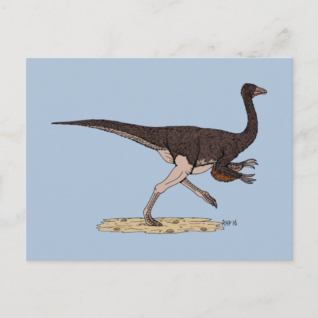 Cretacous Dinosaur Ornithomimus Vykort (Framsida)