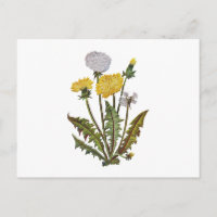 Crewel Embroized Golden Dandy Lejon