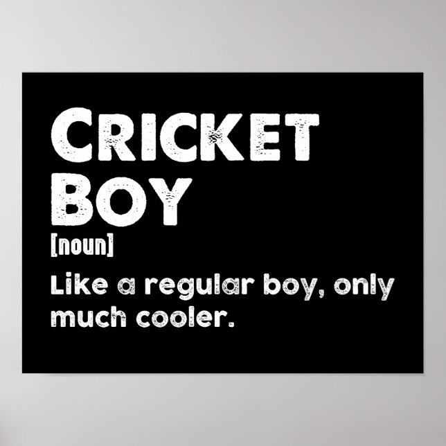 Cricket Älskare Poster (Framsidan)