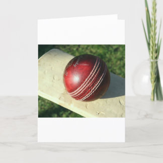 cricket-ball-and-bat.jpg kort