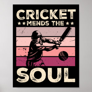 Cricket botar själen  poster