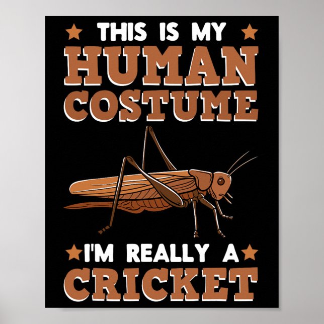 Cricket Breeder Insect Enthusiast Entomologist Hum Poster (Framsidan)