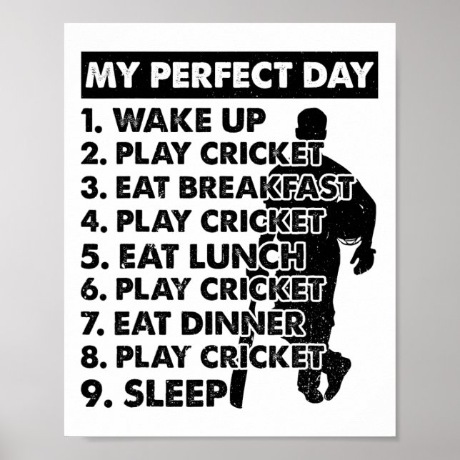 Cricket Day Plan Cricket Player  Poster (Framsidan)