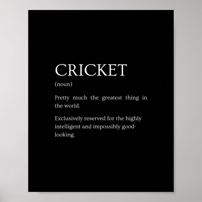 Cricket Definition - Funny Sarcastic Cricket Expla Poster (Framsidan)