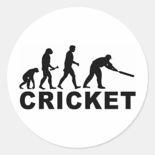 Cricket Evolution Runt Klistermärke