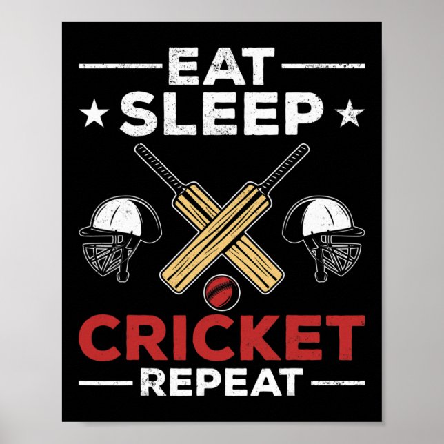 Cricket Fans Cricket Lovers Eat Sleep Cricket Play Poster (Framsidan)