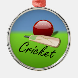 Cricket - fladdermus och boll vid grassyhorisonten julgransprydnad metall