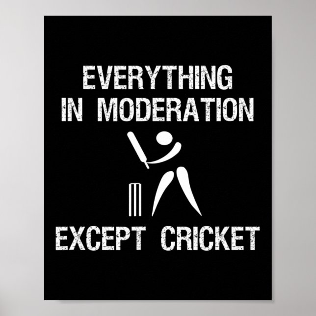 Cricket Game - Funny Moderation - Player  Poster (Framsidan)