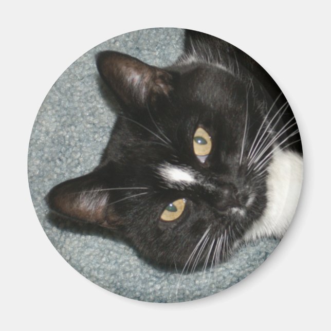 Cricket Magnet (Framsidan)