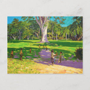 Cricket match Botanical Gardens Dominica Vykort