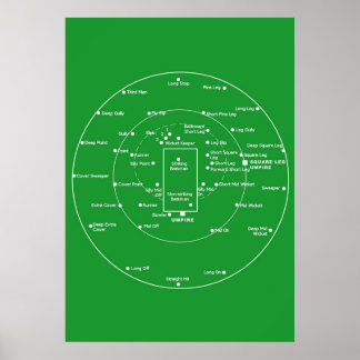CRICKET PITCH POSITIONS Fielding Positions Diagra Poster