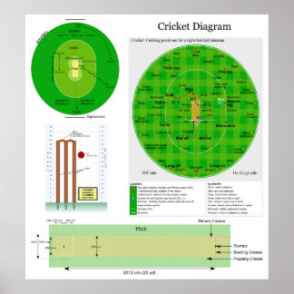 Cricket Position Fält Pitch and Wicket Diagram Poster