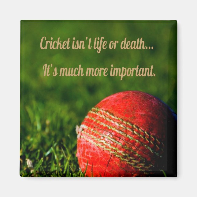 Cricket Red Boll Funny Motivational Magnet (Framsidan)
