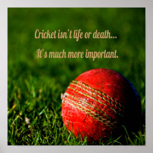 Cricket Red Boll Funny Motivational Poster