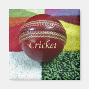 Cricket: Red Hard Boll Art Print Magnet