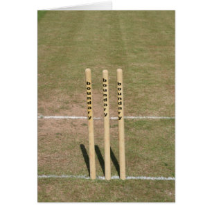 Cricket slipat på Bickleigh, Devon, UK Hälsningskort