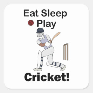 Cricket Sport Äta Sova Spela Cricket Fyrkantigt Klistermärke