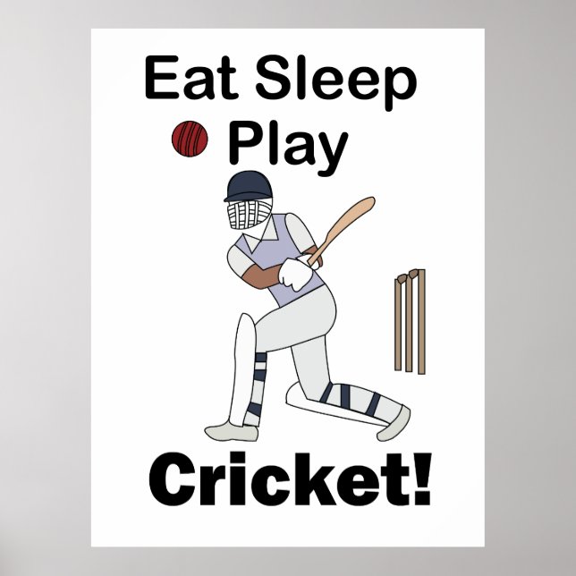 Cricket Sport Äta Sova Spela Cricket Poster (Framsidan)