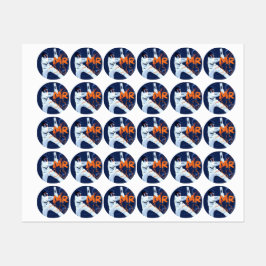 Cricket Stickers 365