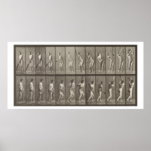 Cricketer, plate 291 from 'Animal Locomotion', 188 Poster