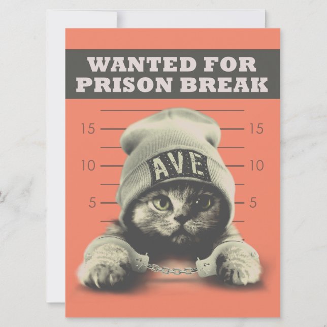 Crime Kattunge Kort (Framsida)