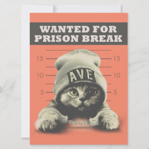 Crime Kattunge Kort