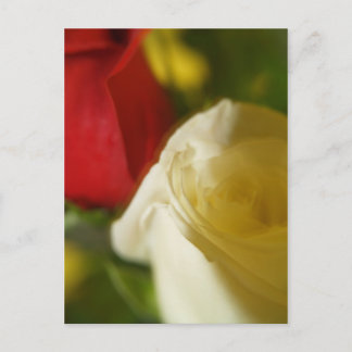 "Crimson and Cream" vykort