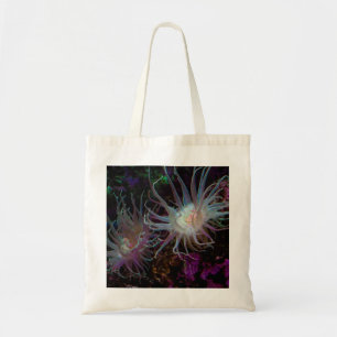 Crimson Anemone Tygkasse