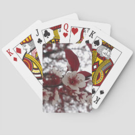 Crimson Beauty Cards Casinokort