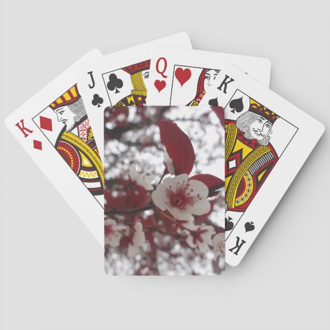 Crimson Beauty Cards Casinokort (Baksidan)