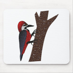 Crimson Belllied Woodpecker Musmatta