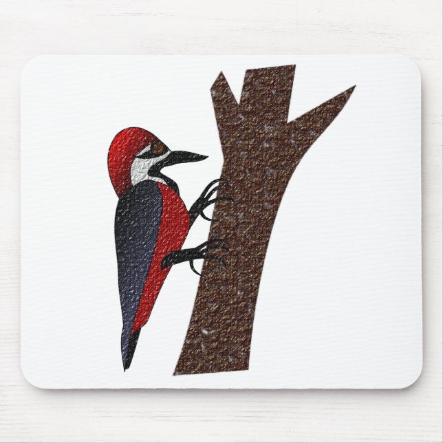 Crimson Belllied Woodpecker Musmatta (Framsidan)