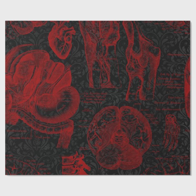 Crimson & Black Damask mönstrad Vampyre Anatomy Presentpapper (Platt)