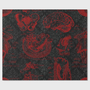 Crimson & Black Damask mönstrad Vampyre Anatomy Presentpapper