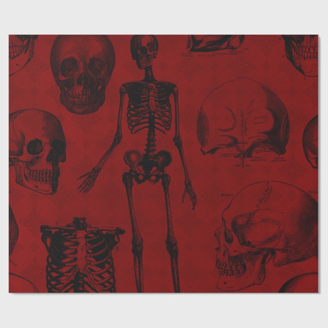 Crimson & Black Skeletons Anatomy Presentpapper (Platt)