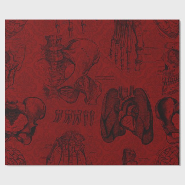 Crimson & Black Skeletons Anatomy Presentpapper (Platt)