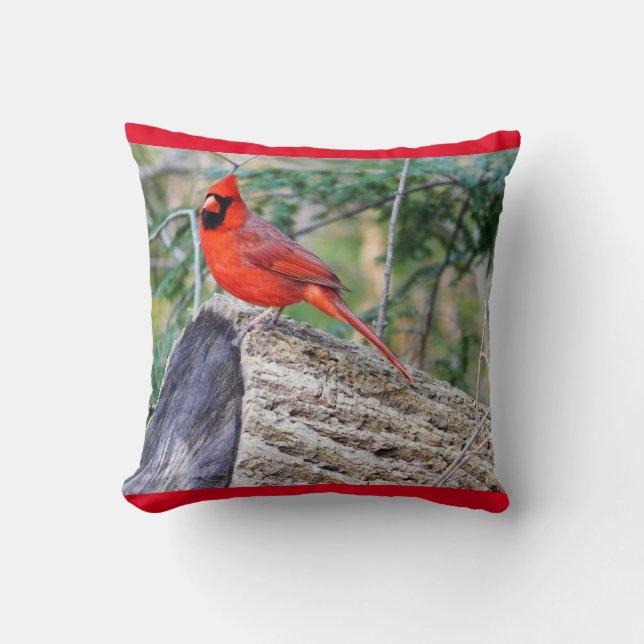 Crimson Cardinal Kudde (Framsida)