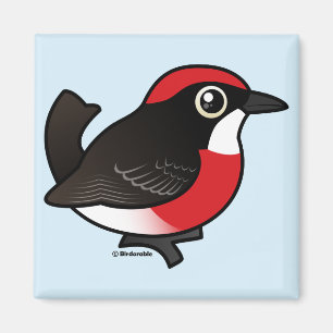 Crimson chatta magnet