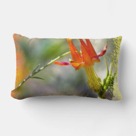 Crimson Columbine Flaming Ends Lumbarkudde