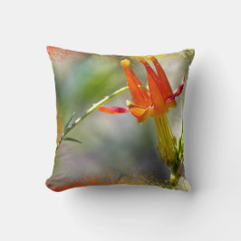 Crimson Columbine Flaming Kant Kudde